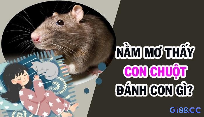Chiêm bao ngủ nằm mơ thấy chuột đánh con đề gì trúng tủ 