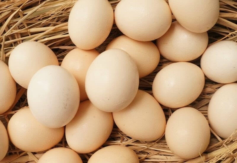 Mơ thấy trứng gà đánh con gì? Giải mã giấc mơ trứng gà