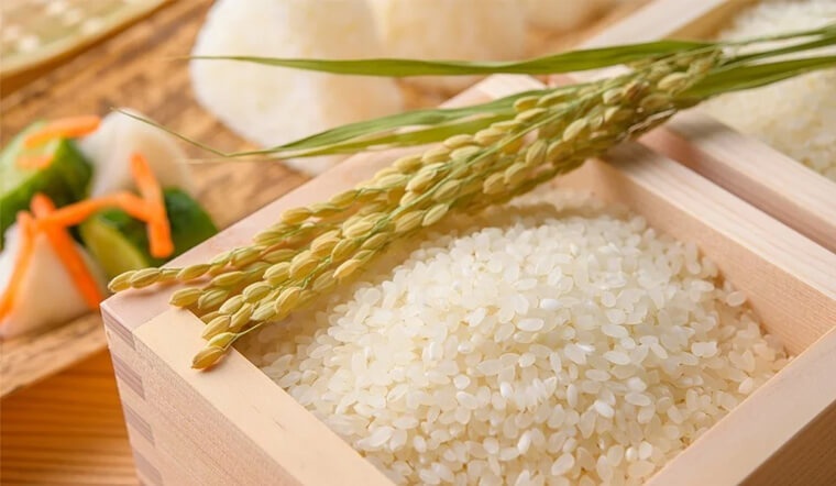 Nằm mơ thấy gạo đánh số gì? Giải mã ý nghĩa và con số