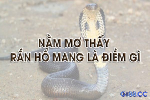 Giải mã giấc mơ thấy rắn hổ mang chi tiết nhất tại gi88!