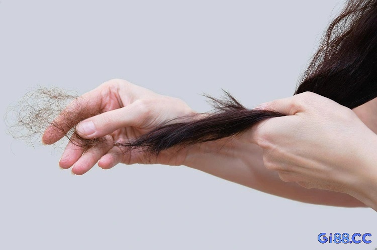Sự xuất hiện của giấc mơ làm nhiều người lo lắng 