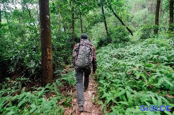 Tham khảo ý kiến của chuyên gia tâm lý có thể giúp giải mã giấc mơ thấy đến nơi xa lạ một cách chuyên nghiệp hơn