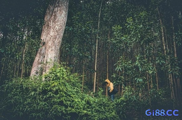 Phân tích giải mã giấc mơ thấy đến nơi xa lạ chi tiết tại gi88