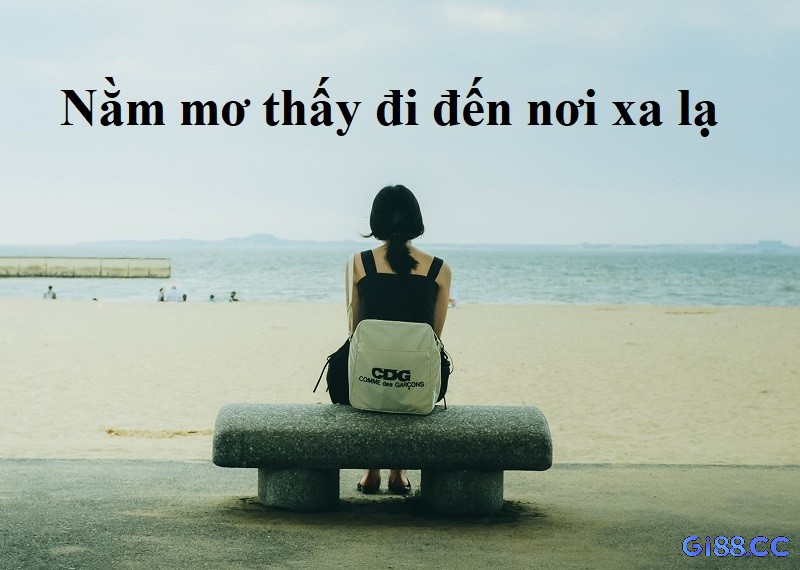 Mơ thấy lạc trong thành phố xa lạ phản ánh bạn đang cảm thấy mất phương hướng trong cuộc sống thực