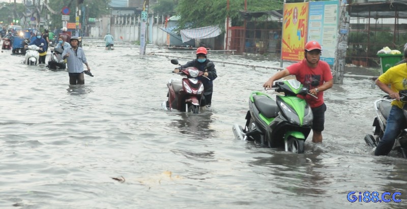Chiêm bao sẽ giúp bạn phán đoán tương lai 