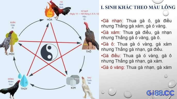 Sinh trắc theo màu lông