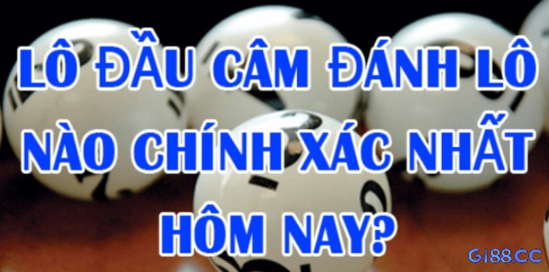 Không đánh theo cảm tính – kết hợp nhiều phương pháp mới đạt tỷ lệ trúng cao