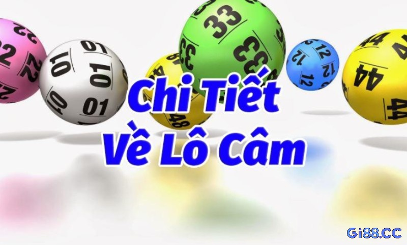 Chọn 3-5 số, nuôi liên tục trong vài ngày để giảm rủi ro và tiết kiệm chi phí