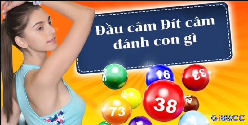 Đánh theo đầu số bị câm, chọn lọc số đẹp để tối ưu hóa vốn đầu tư