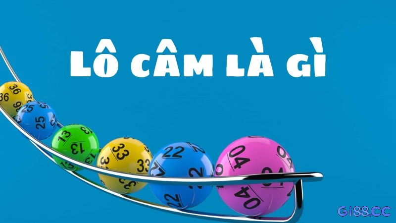 Khái nhiệm về lô câm đầu