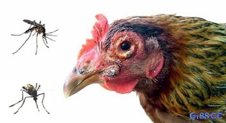 Một sai lầm phổ biến là sử dụng quá nhiều loại thuốc cùng lúc với hy vọng tăng hiệu quả điều trị