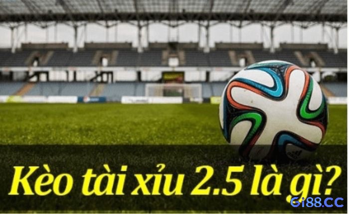 Theo cách tính tài xỉu bóng đá, loại kèo này chỉ có thắng hoặc thua, không có hòa.