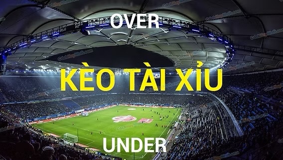 Cách tính tài xỉu bóng đá chi tiết từ A-Z cho người mới bắt đầu