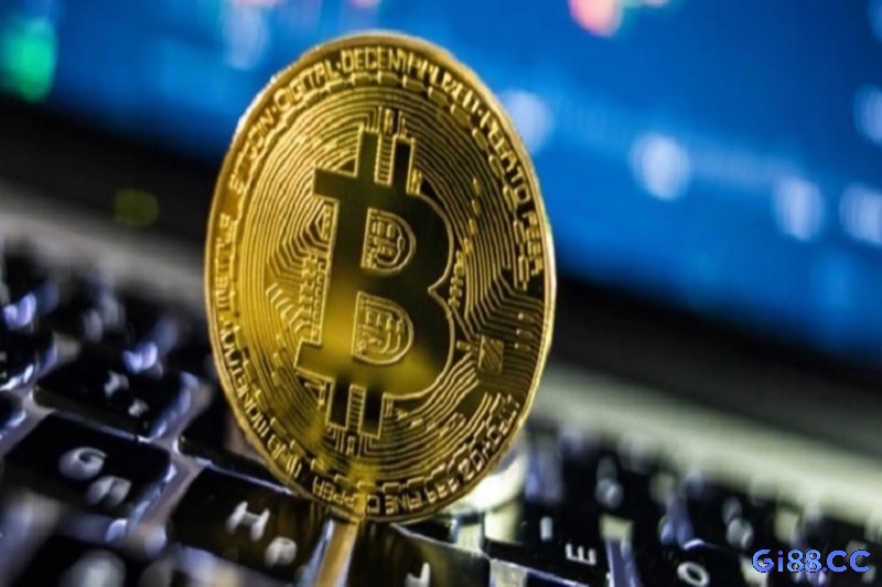 Người chơi cần ví bitcoin an toàn, mua coin từ sàn uy tín và hiểu phí giao dịch