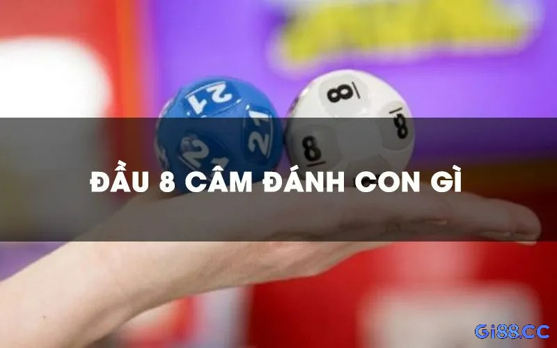 Cùng gi88 khám phá lô đầu 8 câm đánh con gì chi tiết nhé!